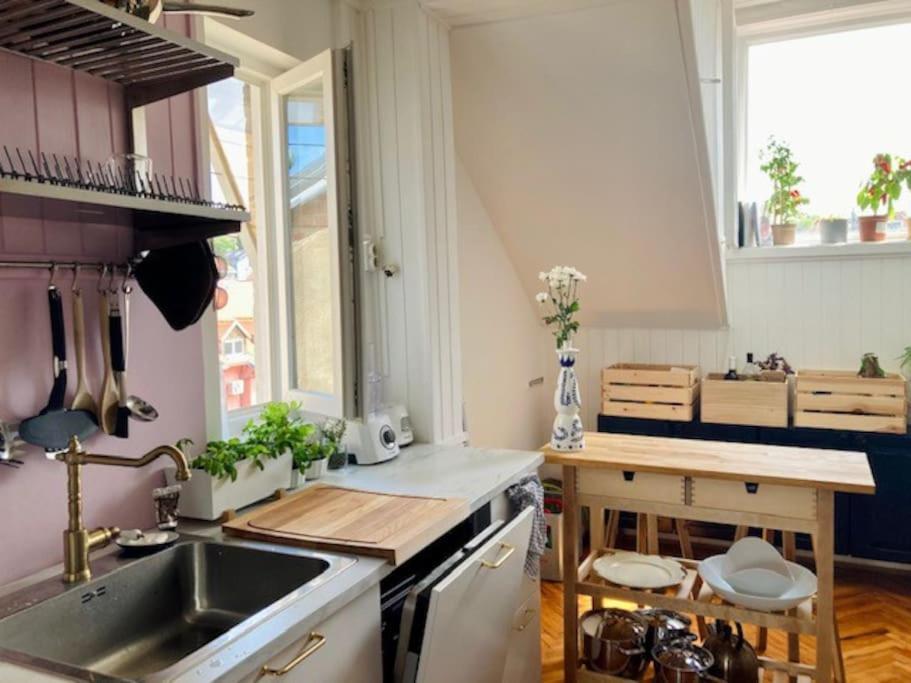 Big, Bright Apartment In The Center Of Zagrzeb Zewnętrze zdjęcie