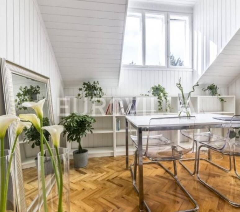 Big, Bright Apartment In The Center Of Zagrzeb Zewnętrze zdjęcie