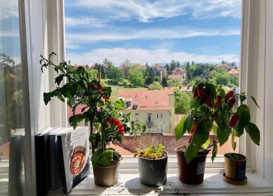 Big, Bright Apartment In The Center Of Zagrzeb Zewnętrze zdjęcie