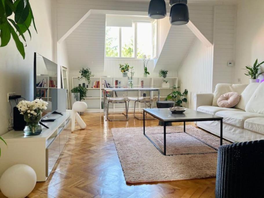 Big, Bright Apartment In The Center Of Zagrzeb Zewnętrze zdjęcie
