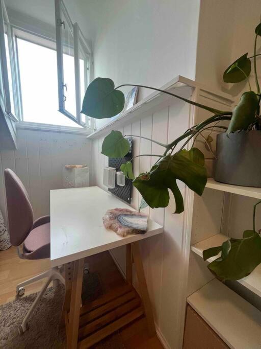 Big, Bright Apartment In The Center Of Zagrzeb Zewnętrze zdjęcie